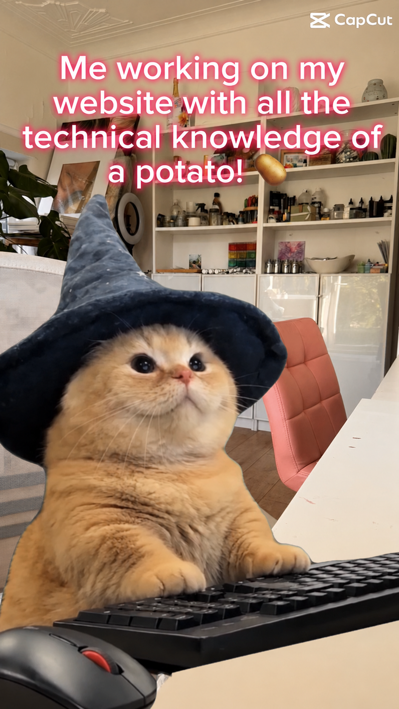 A cat in a wizard hat at a keyboard in my studio, captioned: Me working on my website with all the technical knowledge of a potato!