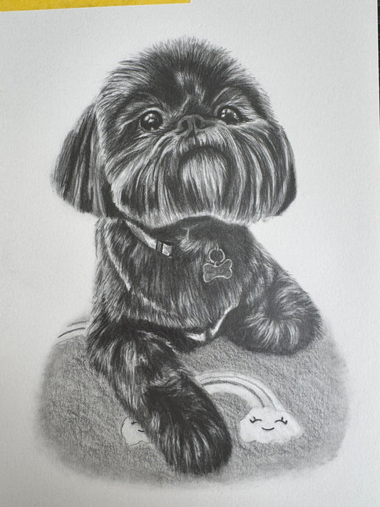 Example pencil commission: Bonnie