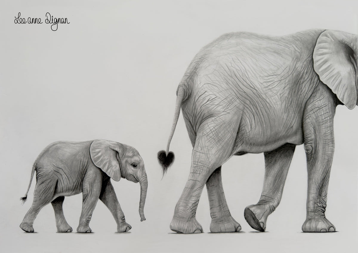 Elephant and calf original A3 drawing by Leeanne Dignan, from The Shape of Love