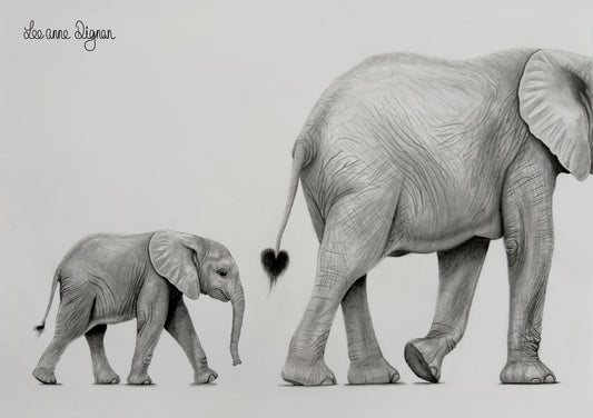 Elephant and calf original A3 drawing by Leeanne Dignan, from The Shape of Love