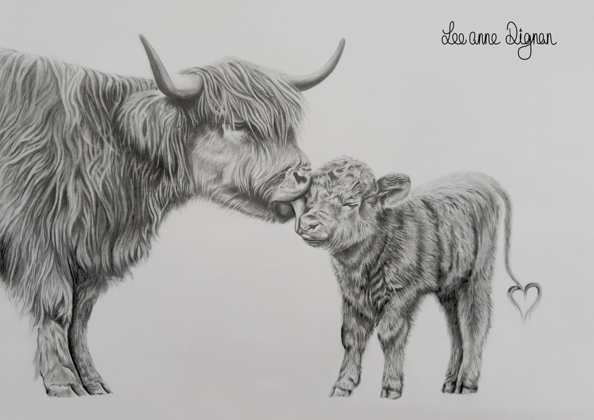 Highland cow and calf original A3 drawing by Leeanne Dignan, from The Shape of Love