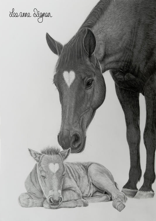 Signed original A3 horse artwork by Leeanne Dignan