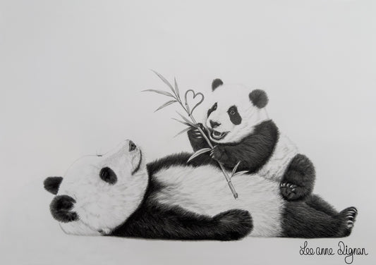 Signed original A3 panda artwork by Leeanne Dignan