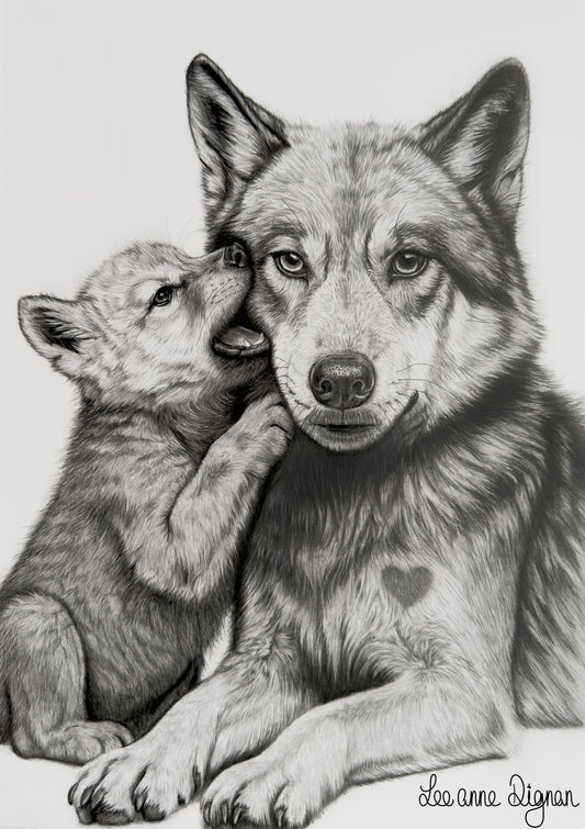 Wolf and cub original A3 drawing by Leeanne Dignan, from The Shape of Love